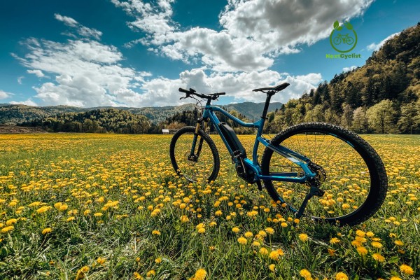 Ebike Nature (10)