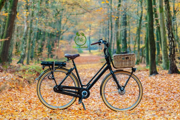 Ebike Nature (20)