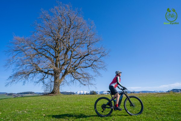 Ebike Nature (23)